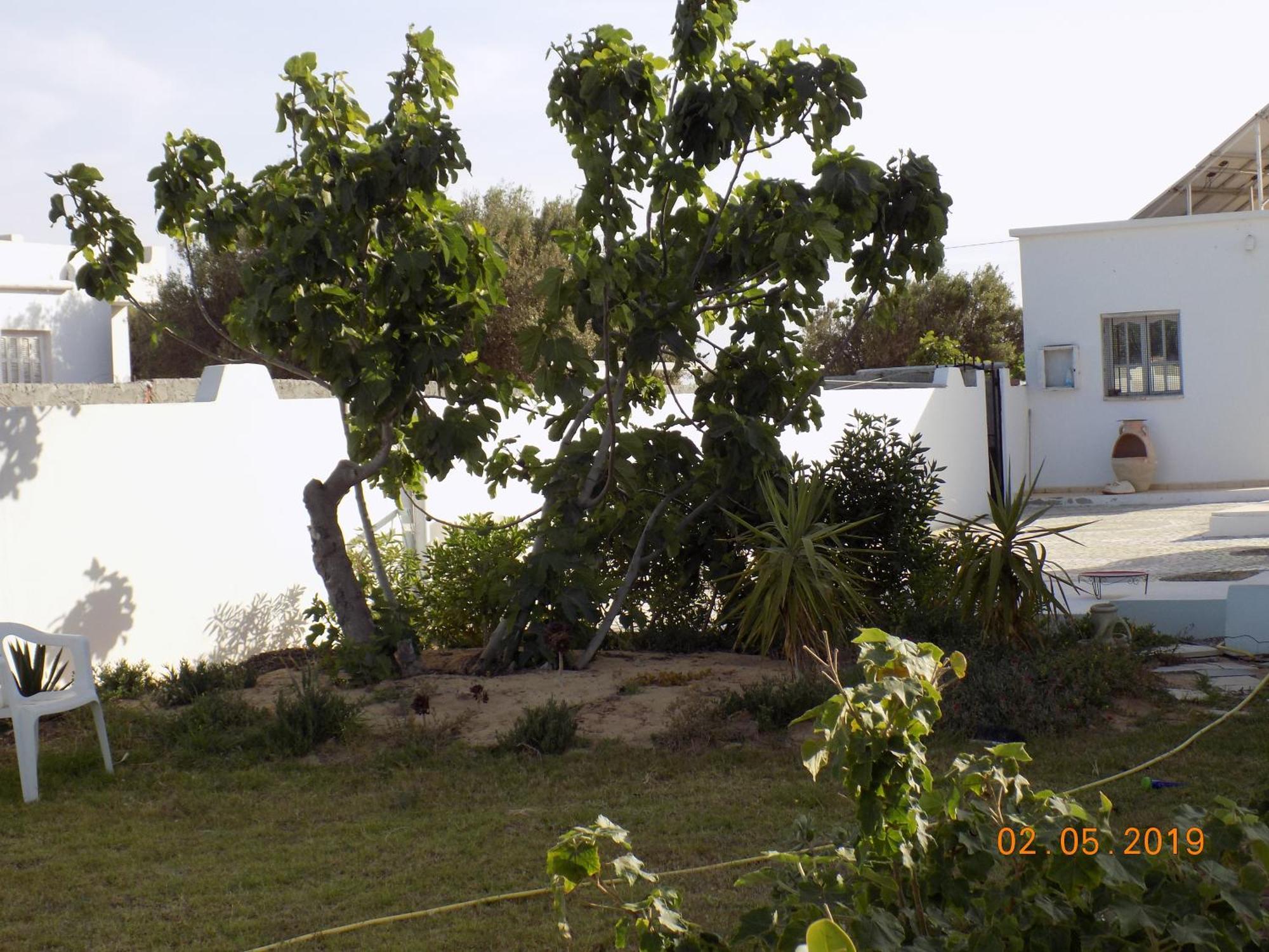 Bed and Breakfast Dar Mamina Sidi ash Shammakh Екстер'єр фото