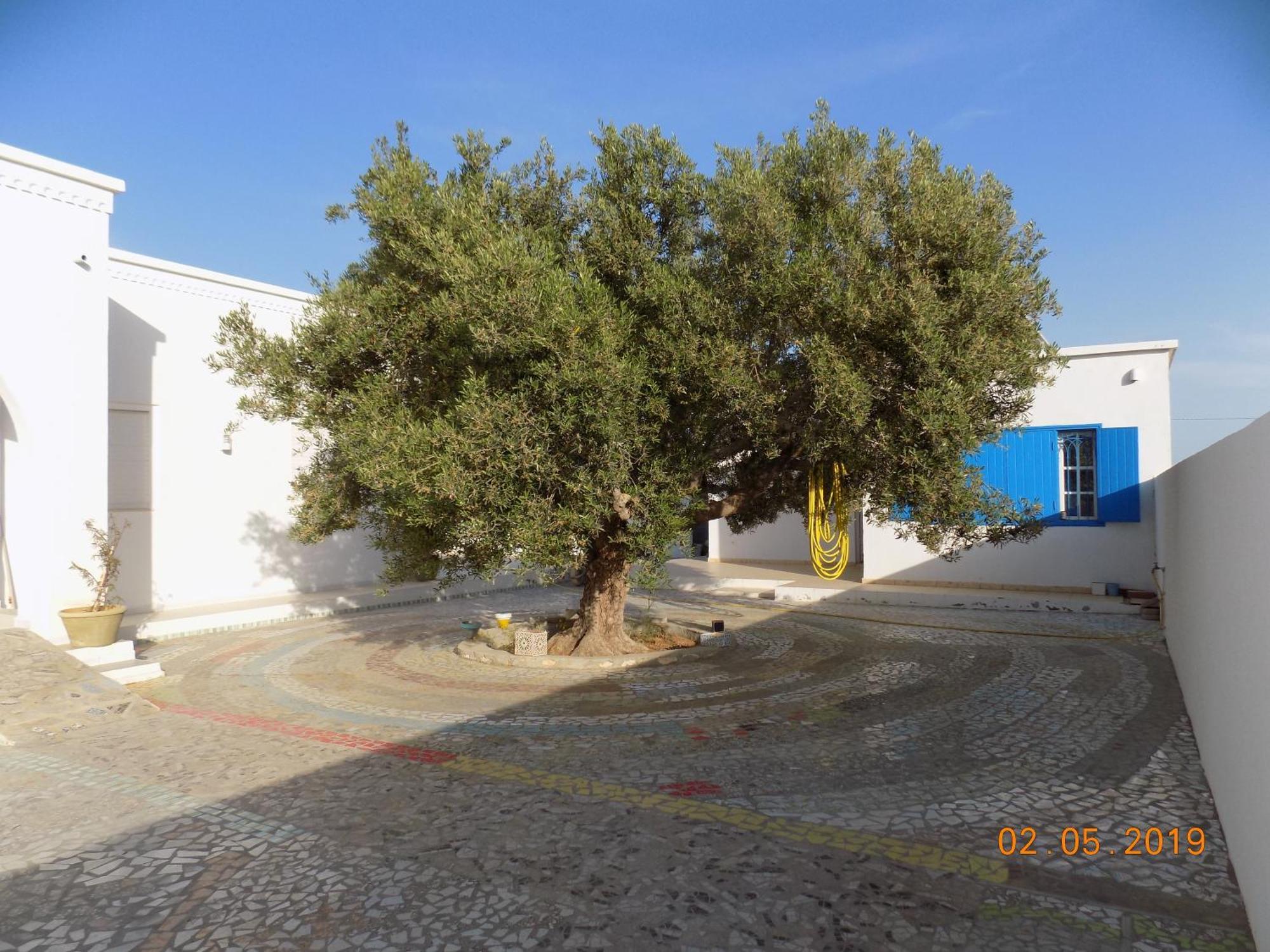 Bed and Breakfast Dar Mamina Sidi ash Shammakh Екстер'єр фото