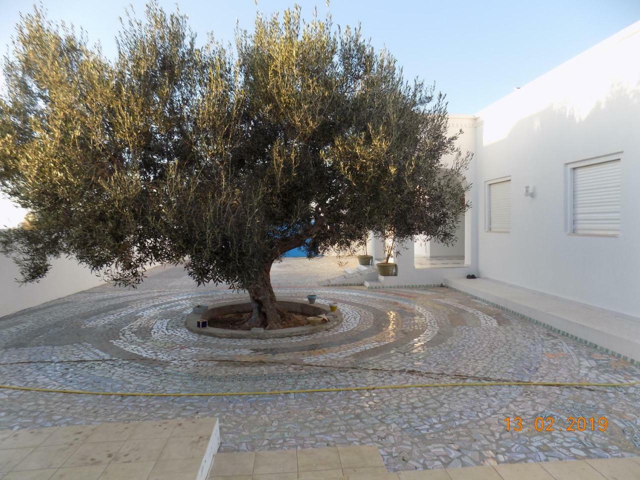 Bed and Breakfast Dar Mamina Sidi ash Shammakh Екстер'єр фото