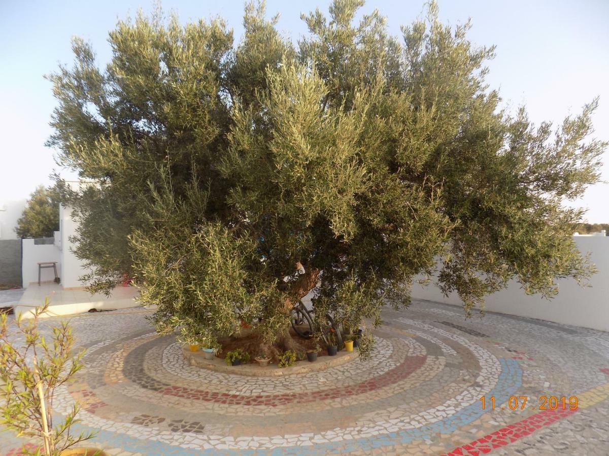 Bed and Breakfast Dar Mamina Sidi ash Shammakh Екстер'єр фото